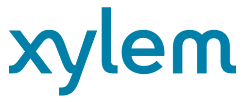 xylem